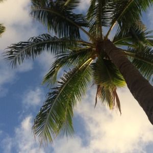 Meet your Posher, Suzanne